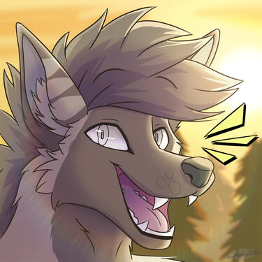 Cel shaded [2020]